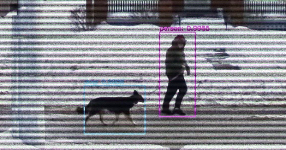 A YouTuber created an AI-powered computer that uses machine learning to shout compliments at dogs as they pass through his neighborhood.