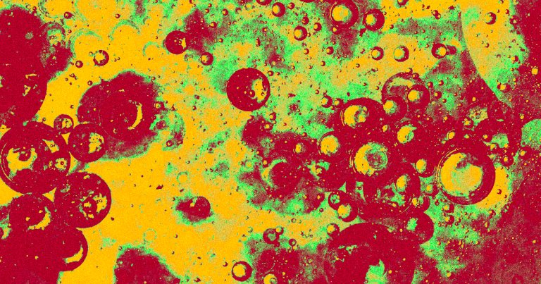 A recent survey of human-made chemicals inside pregnant women's bodies found dozens of plastics and other compounds that scientists can't identify.