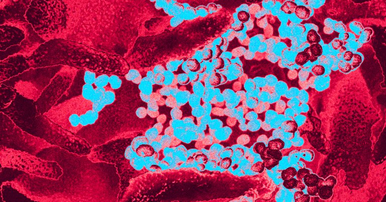 There are several major coronavirus variants spreading throughout the world. Here's what you should know about the most important ones.