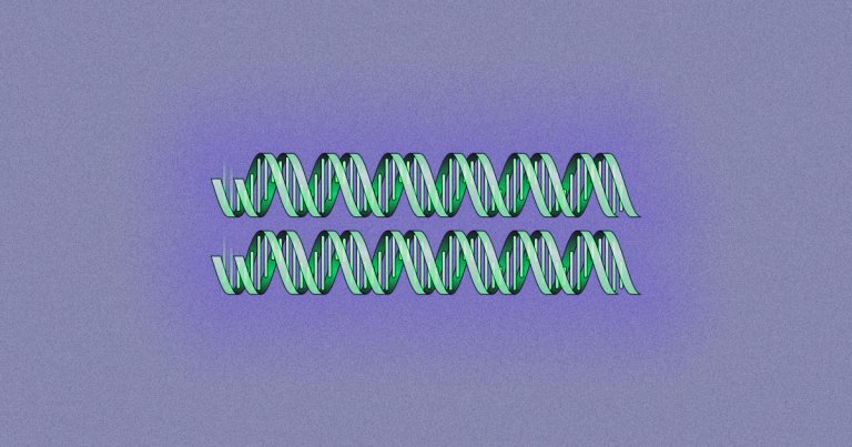 Scientists can now filter freely-floating DNA out of the air, allowing them to track and monitor what animals are in the area.