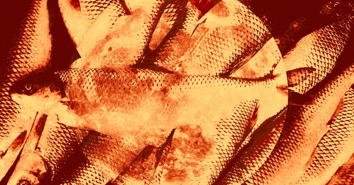 Scientists suggest putting a fish farm on the Moon after discovering that seabass and meagre eggs could survive the rough journey.