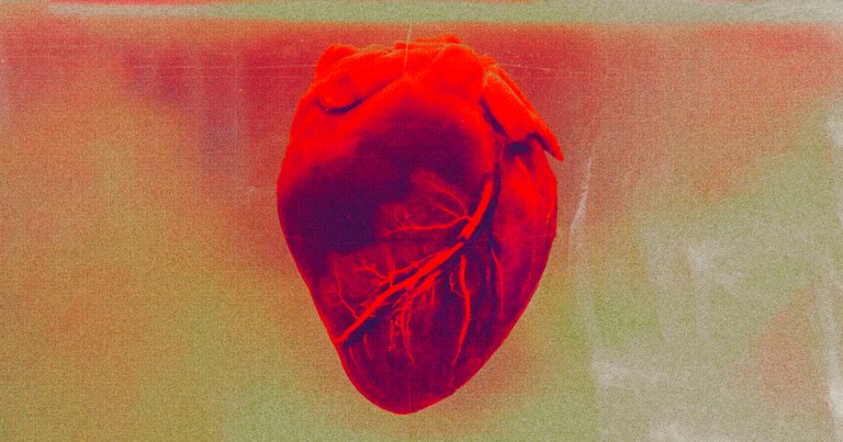 A study shows that the coronavirus can directly attack and kill heart cells, potentially settling a longstanding scientific debate.