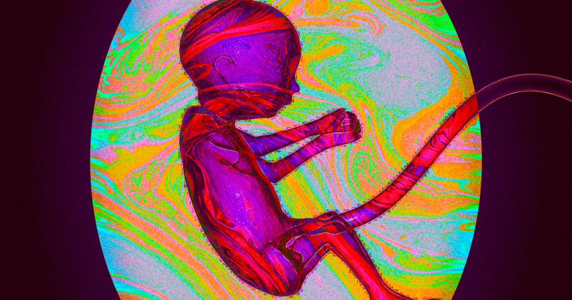 A scientist working on an artifiical placenta that provides oxygen for babies born prematurely says it may be ready for human experiments in five years.
