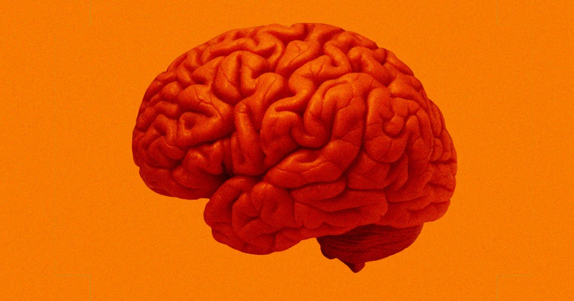 German scientists have tested a special vaccine targeted at helping the body fight brain cancers for the first time in humans.