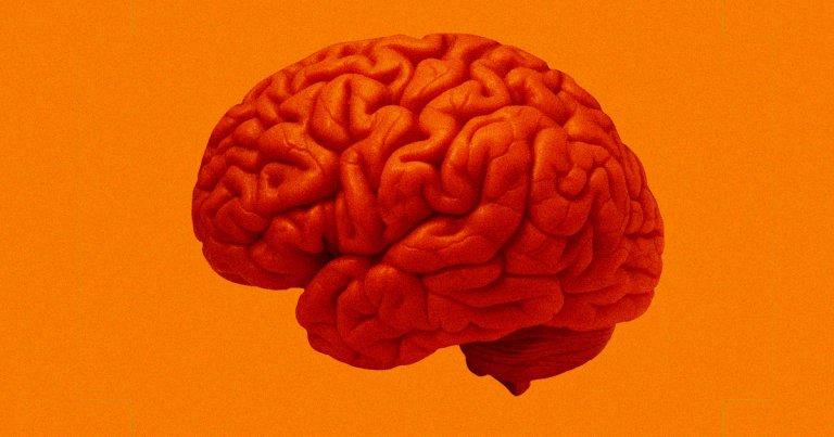 German scientists have tested a special vaccine targeted at helping the body fight brain cancers for the first time in humans.