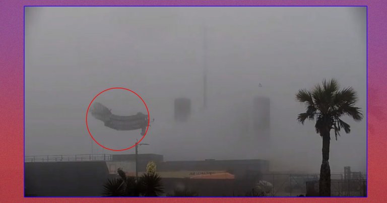 SpaceX's SN11 Starship explosion showed up as debris raining down from the skies in livestreams. Even a tree got chopped in half.