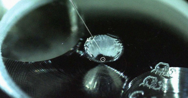 Scientists discovered water and organic matter on the surface of an asteroid, suggesting that impacts could have brought life's precursors to Earth.