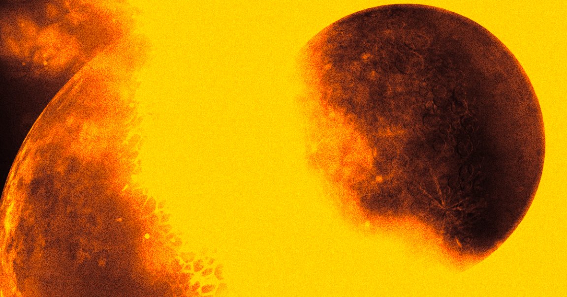 The gigantic blobs buried within the Earth's mantle, thought to be fragments of the ancient protoplanet Theia, are unfathomably huge.