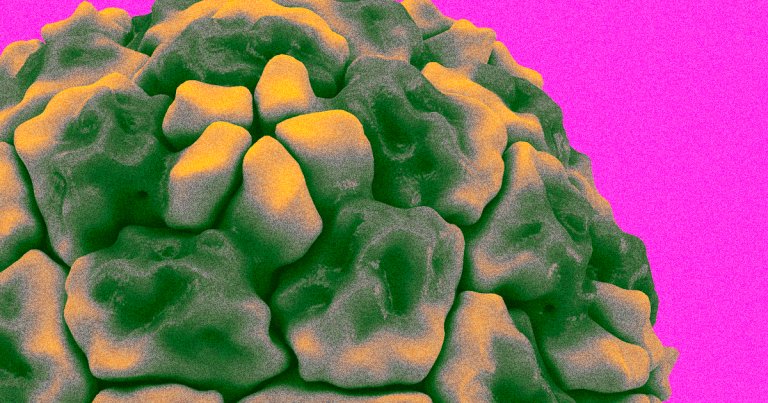 Multiple research teams are working toward a vaccine that protects against every coronavirus at once, including COVID-19 and the common cold.