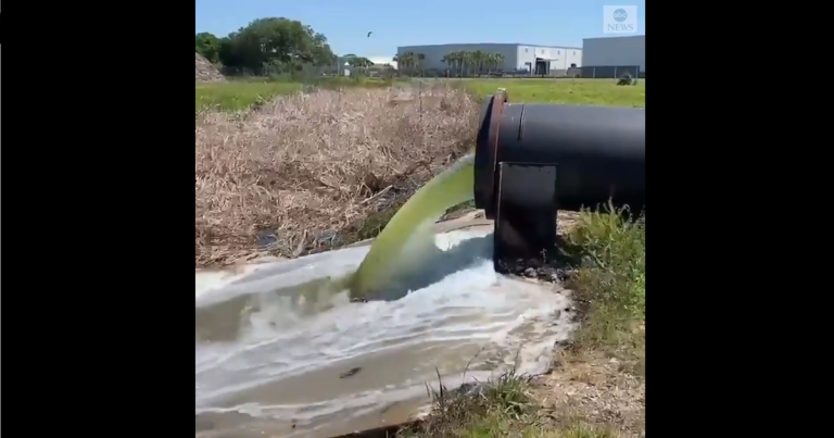 Florida Declares State of Emergency Due to Potential Radioactive Material Leak