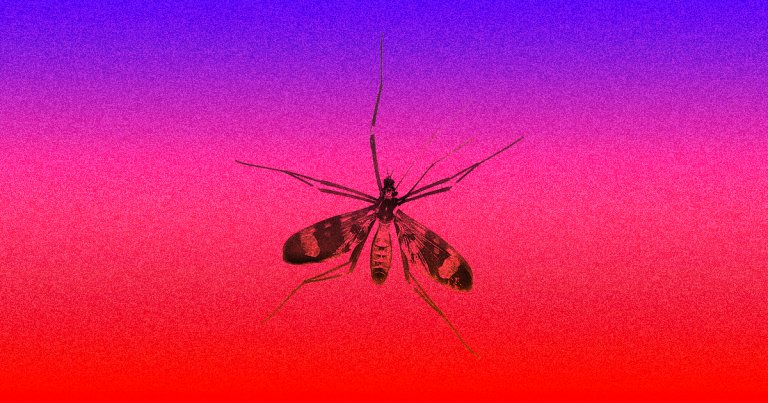 Scientists have developed a highly effective vaccine for malaria that offers far better protection than any past attempts.