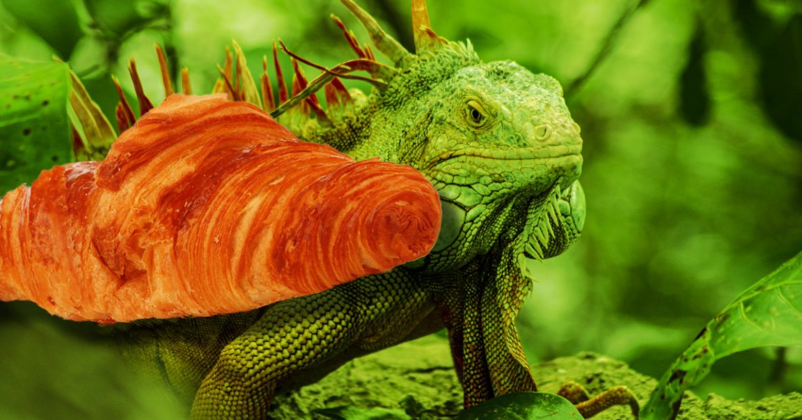 A mysterious creature caught in a tree caused residents in Krakow, Poland, to shut their windows and hunker down. It turned out to be a croissant.