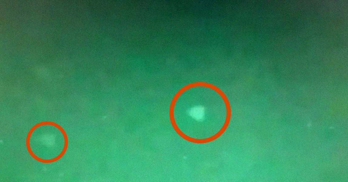 According to The Warzone, swarms of drones sent by foreign adversaries could be behind the many recent UFO sightings made by the military.