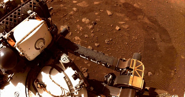 NASA may have accidentally brought extremely hardy microbial life to Mars, spreading life throughout and contaminating the solar system.
