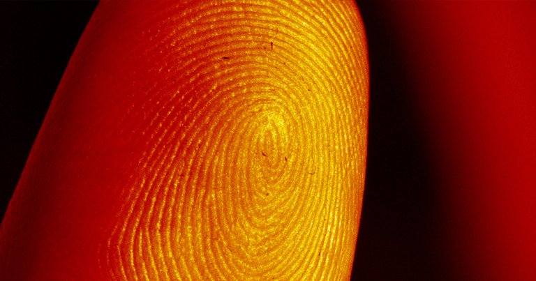 Retired auditor living in rural Spain used the severed tip of his index finger to successfully unlock his Samsung Galaxy A20 smartphone.