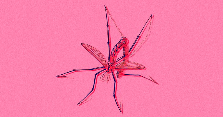 The biotech company Oxitec has now released its genetically engineered mosquitoes in the Florida Keys, where it hopes they'll reduce local bug populations.