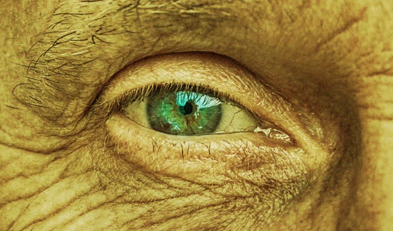 Researchers concluded that with perfect health, humans could live to anywhere between 120 and 150 years, as detailed in a new study.