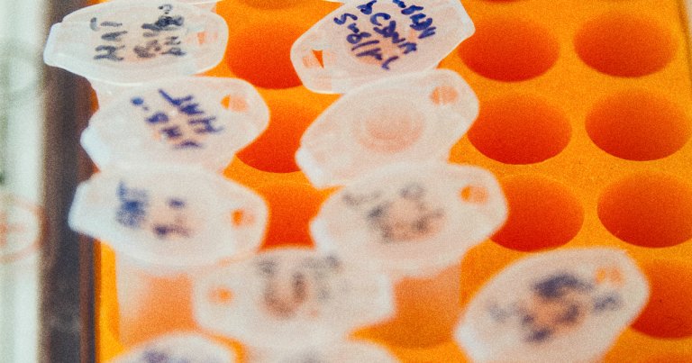 A man was charged with rape after uploading his genetic code to a genaelogy site, giving police the DNA match they needed for a case from 2007.