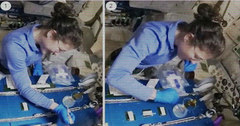 A team of astronauts were able to use CRISPR gene editing in space for the first time ever to study microgravity and DNA repair.