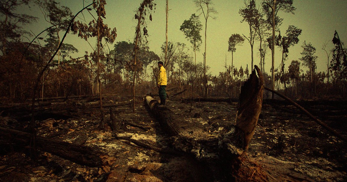 Regions of the Amazon rainforest are now releasing more carbon dioxide into the atmosphere than they can absorb.