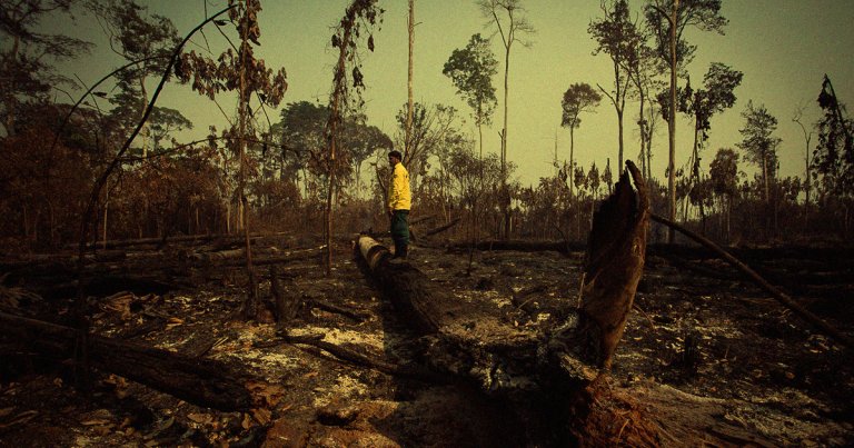 Regions of the Amazon rainforest are now releasing more carbon dioxide into the atmosphere than they can absorb.