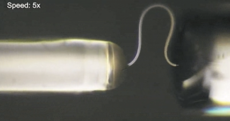 Scientists Create Flexible Ice That Can Bend Like a Wire