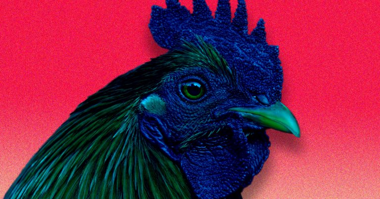 A 55-year-old man from a city in the southwestern province of Sichaun experienced a fever and tested positive for the H5N6 avian flu.