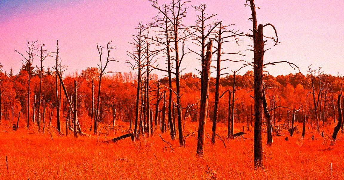 A team of prominent scientists warns that we've already passed several ecological tipping points and are approaching even more.