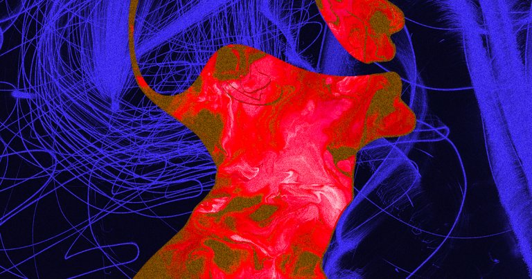 A new neural implant was able to decode a paralyzed man's thoughts and turn them into words written on a screen, granting him the ability to communicate.
