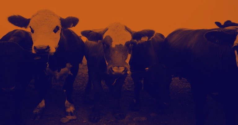 The Mississippi Department of Health released a health alert on Friday warning people not to take an anti-parastic drug meant for cows to prevent COVID.