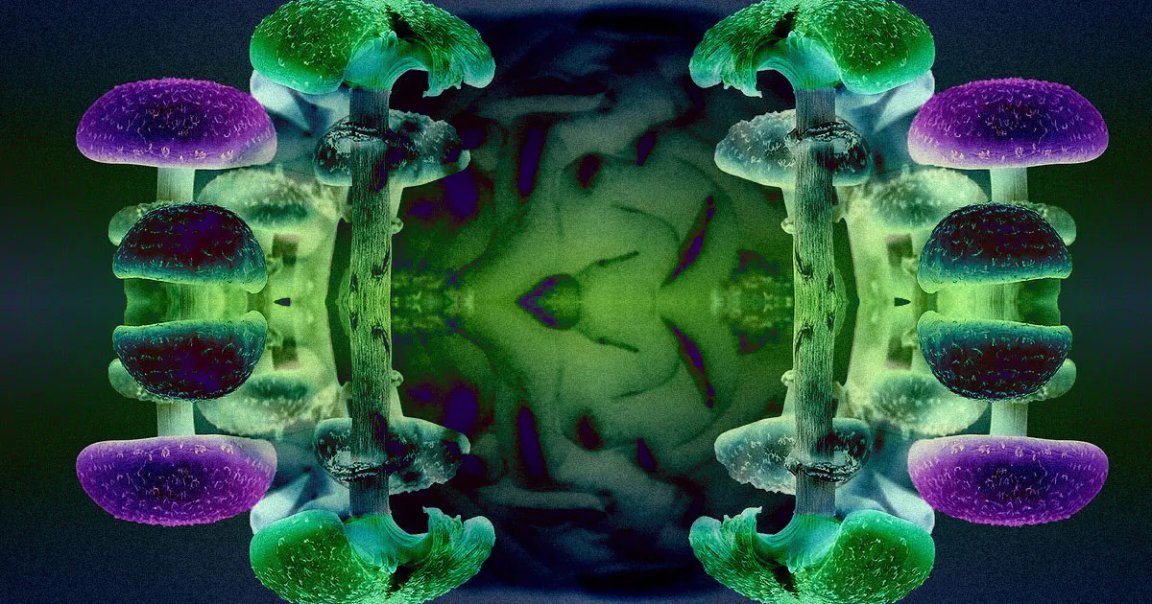 As astronauts venture farther and farther into space, they may need a little pick-me-up in the form of psilocybin when they start to feel lonely.