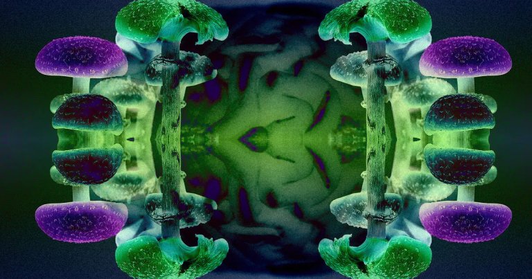 As astronauts venture farther and farther into space, they may need a little pick-me-up in the form of psilocybin when they start to feel lonely.