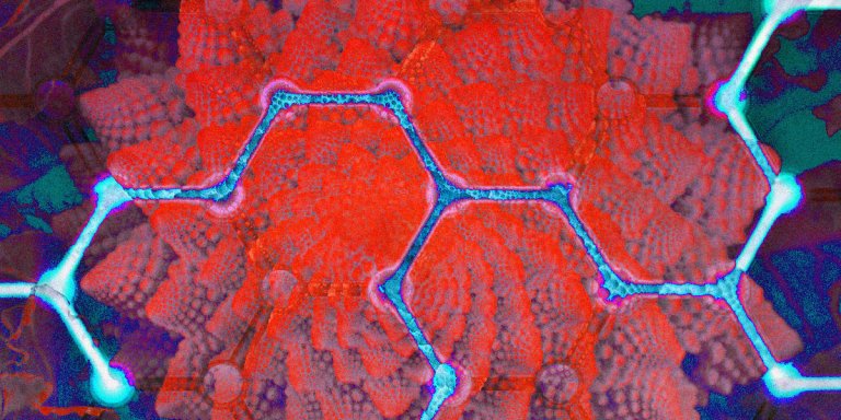 Is blockchain tech alive? No, but scientists argue it may as well be if we adjusted our definition of what represents life.