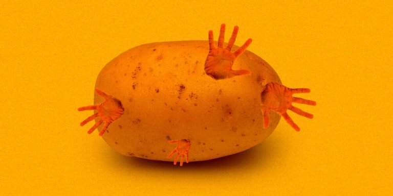 Scientists inserted a human gene responsible for fat production into potato plants to grow more food without taking up more space.