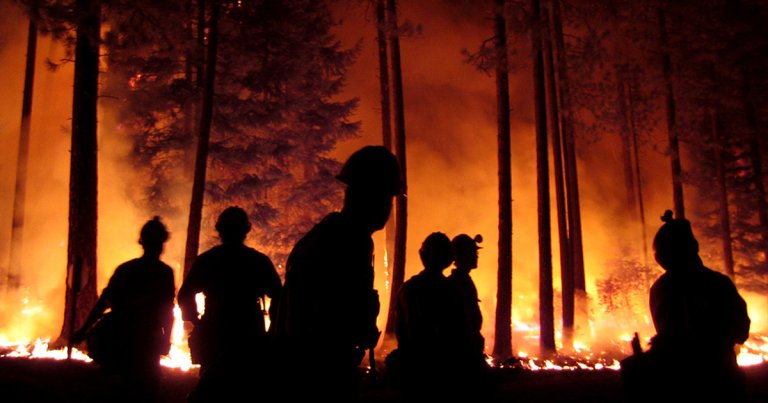 Prominent Venture Capitalist Admits That the “Climate Is F’d”