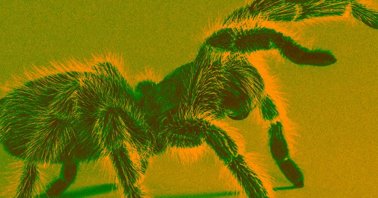 A new app called Phobys uses augmented reality to surround arachnophobic people with spiders as a form of virtual exposure therapy.