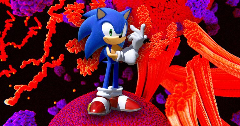 Scientists discovered that a protein called sonic hedgehog seems to play a huge role in Parkinson's, potentially revealing new treatment opportunities.