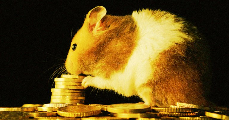 The alternative cryptocurrency Hamster skyrocketed on Tuesday — and Tesla CEO Elon Musk may have had something to do with it.