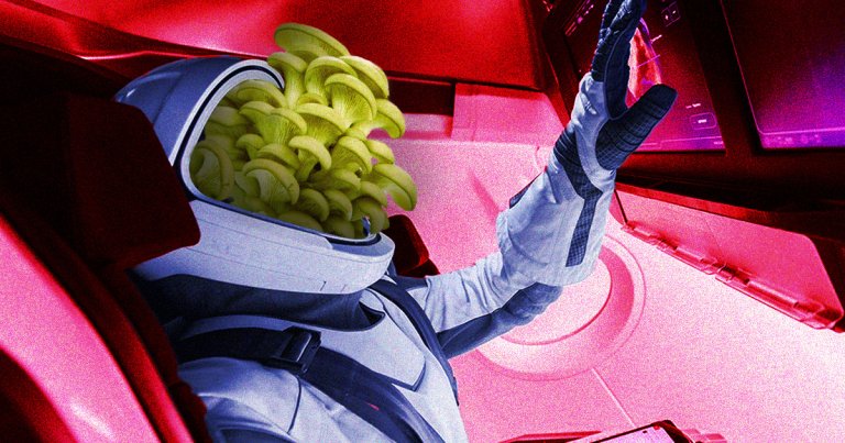 In an unusual yet poetic essay, New York Times reporter Dennis Overbye compared astronauts to a genus of dung-eating fungus.