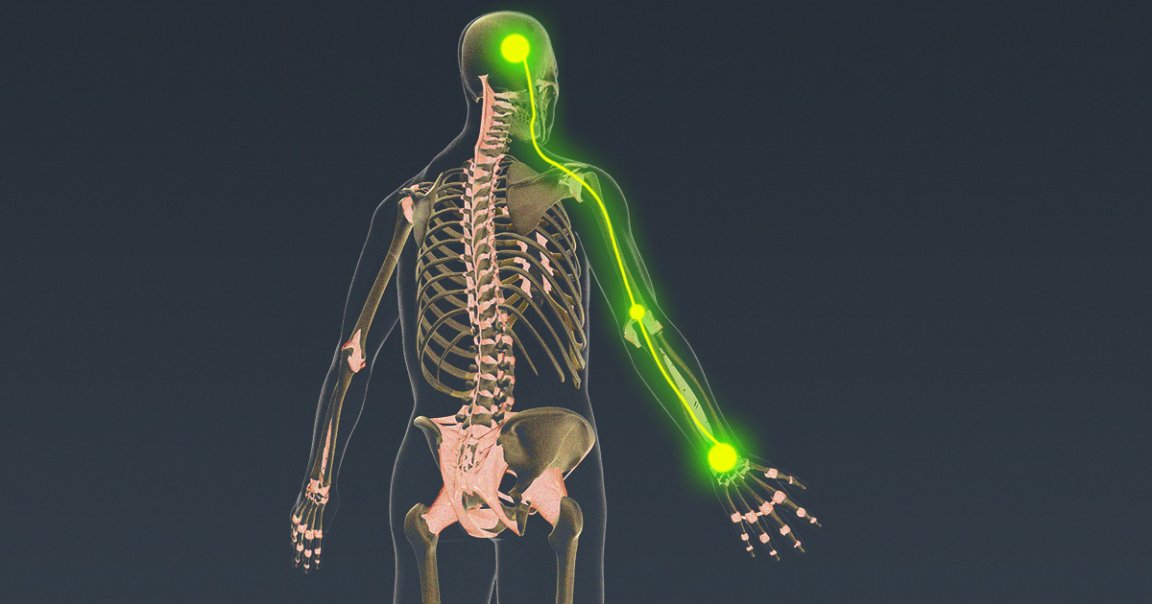 An experimental neural implant seems to restore both muscular control over and sensation in people's limbs, even when a spinal cord injury is in the way.
