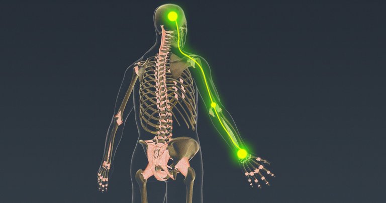 An experimental neural implant seems to restore both muscular control over and sensation in people's limbs, even when a spinal cord injury is in the way.