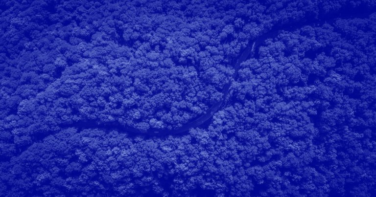 Facebook announced it would be cracking down on people using the platform to sell land in the Amazon rainforest