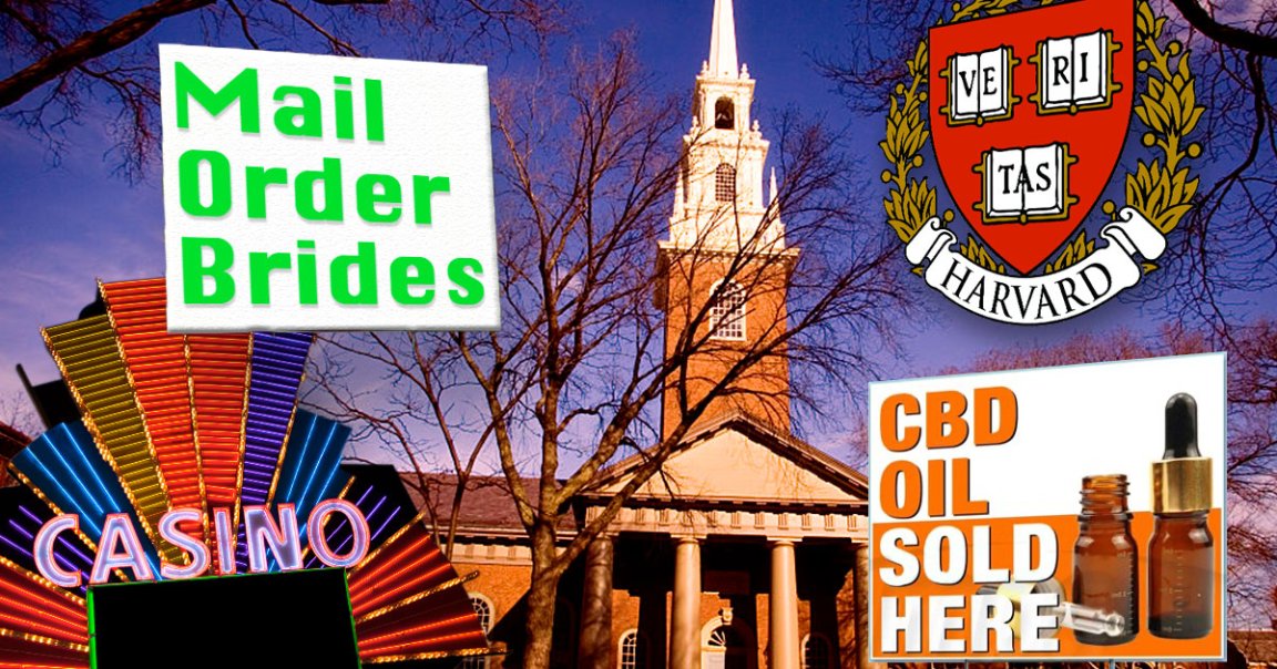 Scammers are cooking up fake Harvard students to shill brands on the university’s website -- and the practice appears to be widespread.
