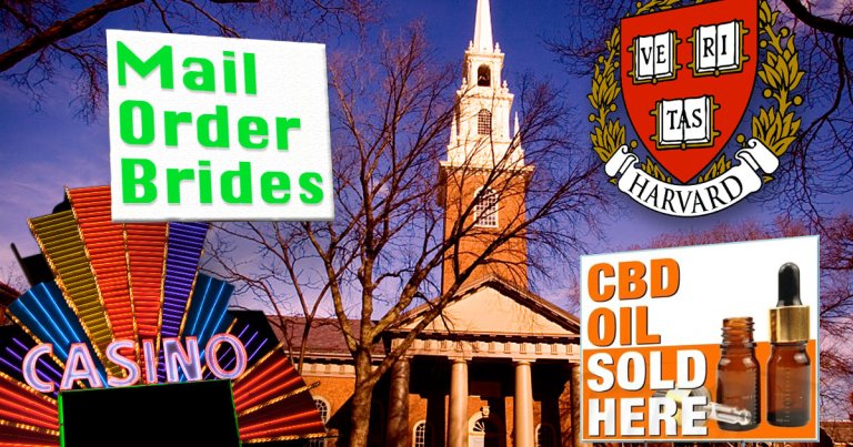 Scammers are cooking up fake Harvard students to shill brands on the university’s website -- and the practice appears to be widespread.