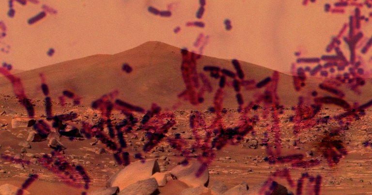 Mars Microbe Scientists Show That Algae Could Grow Using Only Mars Resources