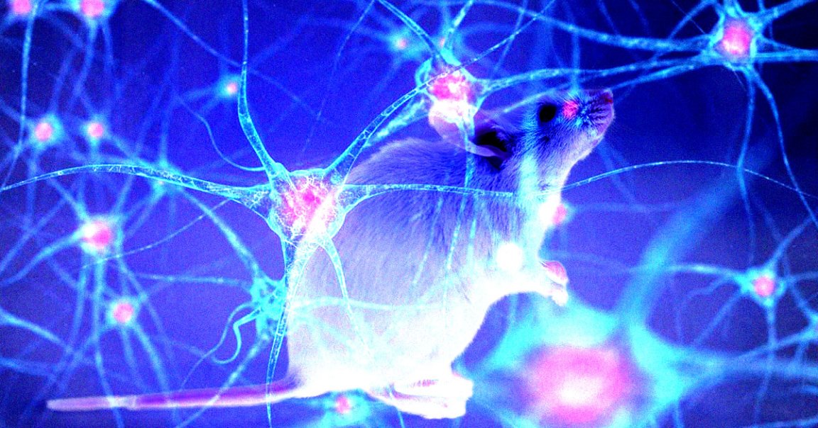 A team of researchers might have developed an incredibly promising way to treat — and possibly vaccinate against — Alzheimer’s disease.