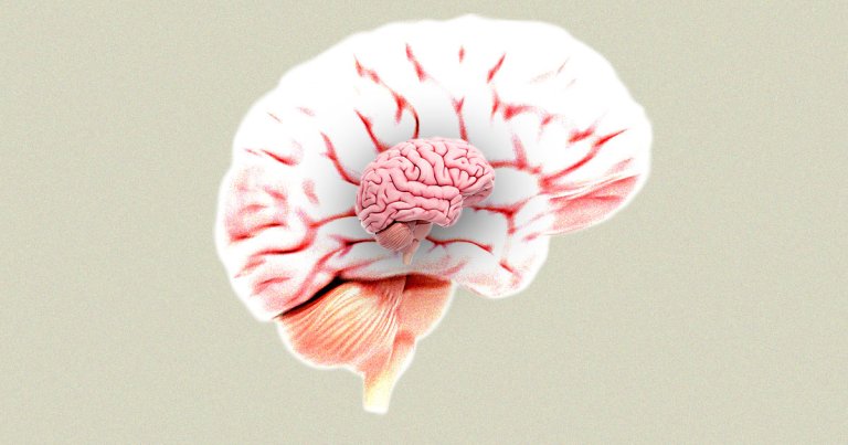 J.M Stibel, a brain scientist, has discovered evidence that the size of human brains have greatly decreased in the past 50,000 years.