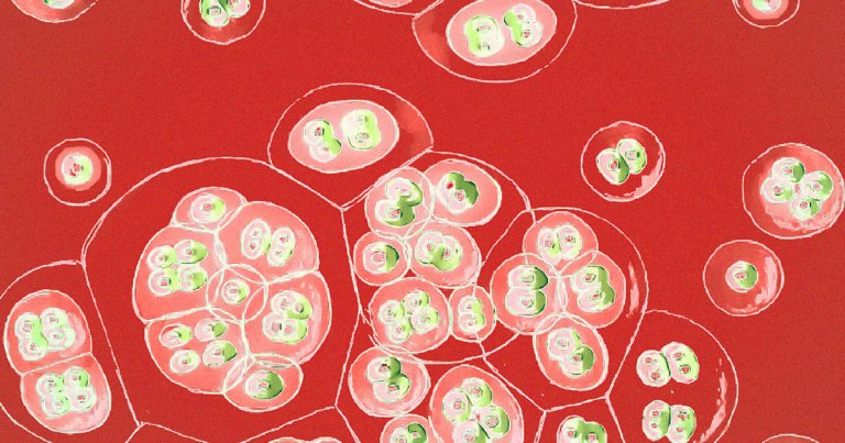 British pharmaceutical company GlaxoSmithKline is ready to start human trials of its potential cure for HIV some time next year.
