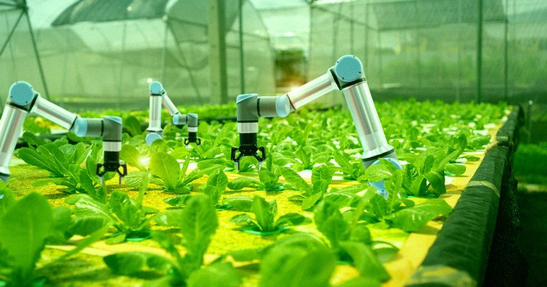 In response to the so-called "labor shortage," companies are looking to finally replace replace workers with machines.