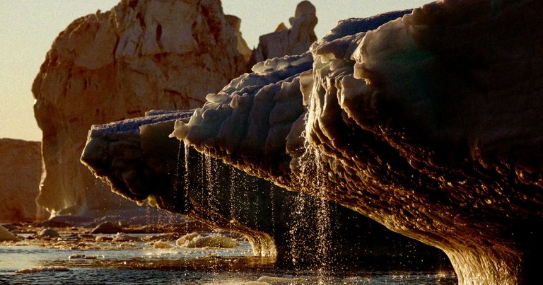 An MIT geophsicist said that humans are on the brink of causing a sixth mass extinction event due to the amount of carbon pumped into the air and oceans.